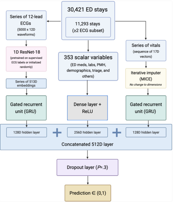 Architecture of the serial-ECG hospital admission model